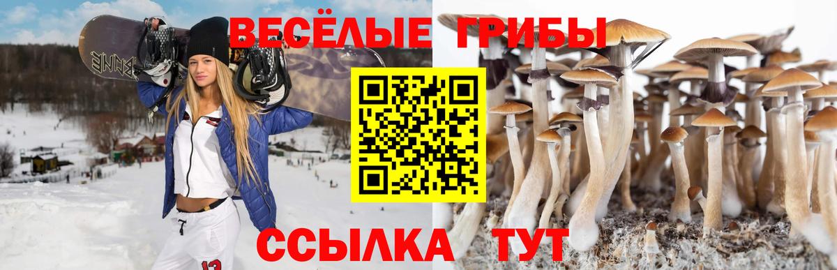 Тобольск  Псилоцибиновые грибы Magic Shrooms  Вход с VPN 
